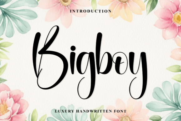 Bigboy: The Modern Script Font for Elegant Branding